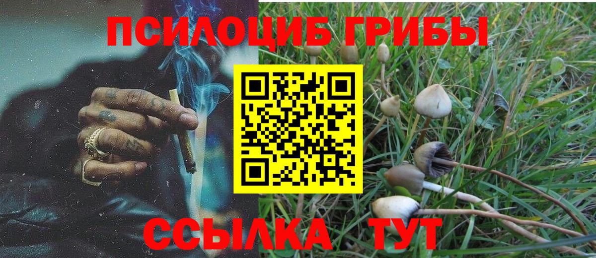 Галлюциногенные грибы мухоморы  Вход с VPN  Псилоцибиновые грибы ЛСД  Черняховск 